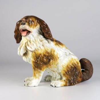 Cavalier King Charles Spaniel Cavalier King Charles Spaniel